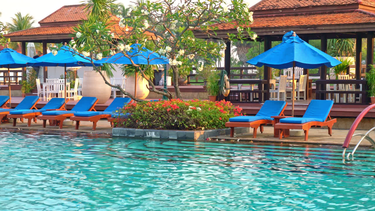 수영장 주변의 침대 수영장과 파라솔