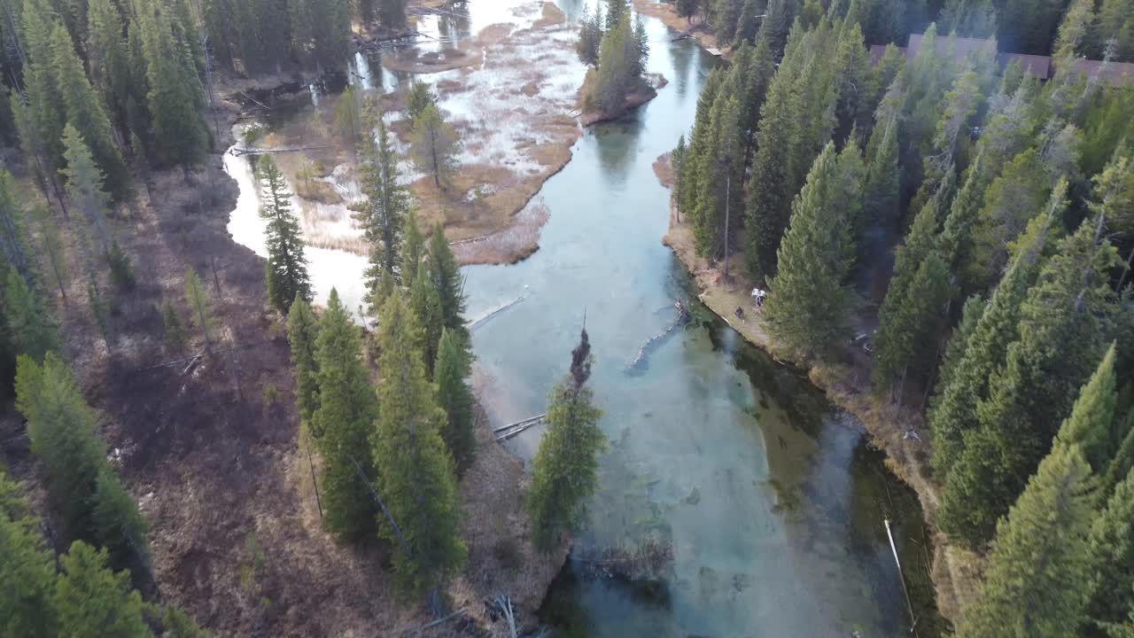 Aerial footage of Island Park, Idaho, showcasing the wetlands, river, and forest landscape near Yellowstone. Ideal for nature documentaries