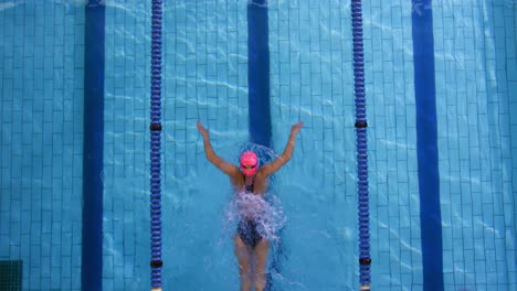 entrenamiento de nadadores en una piscina