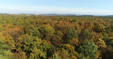 Flying-Over-Forest-Trees-Nature-Aerial-Views-7