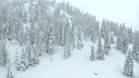 Cinematográfico-Aéreo-Colorado-Invierno-Primavera-Profundo-Polvo-Nieve-Nevando-árboles-Cubiertos-Loveland-Estación-De-Esquí-Túnel-Eisenhower-Coon-Hill-Travesía-I70-Pesado-División-Continental-Montañas-Rocosas-Hacia-Adelante