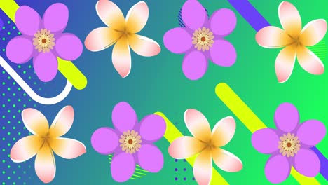 animation of flowers and moving shapes on green background