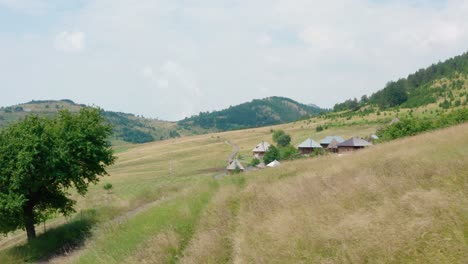 Amazing-old-traditional-Ticje-Polje-cottage-village-huts-in-Serbia,-aerial-view