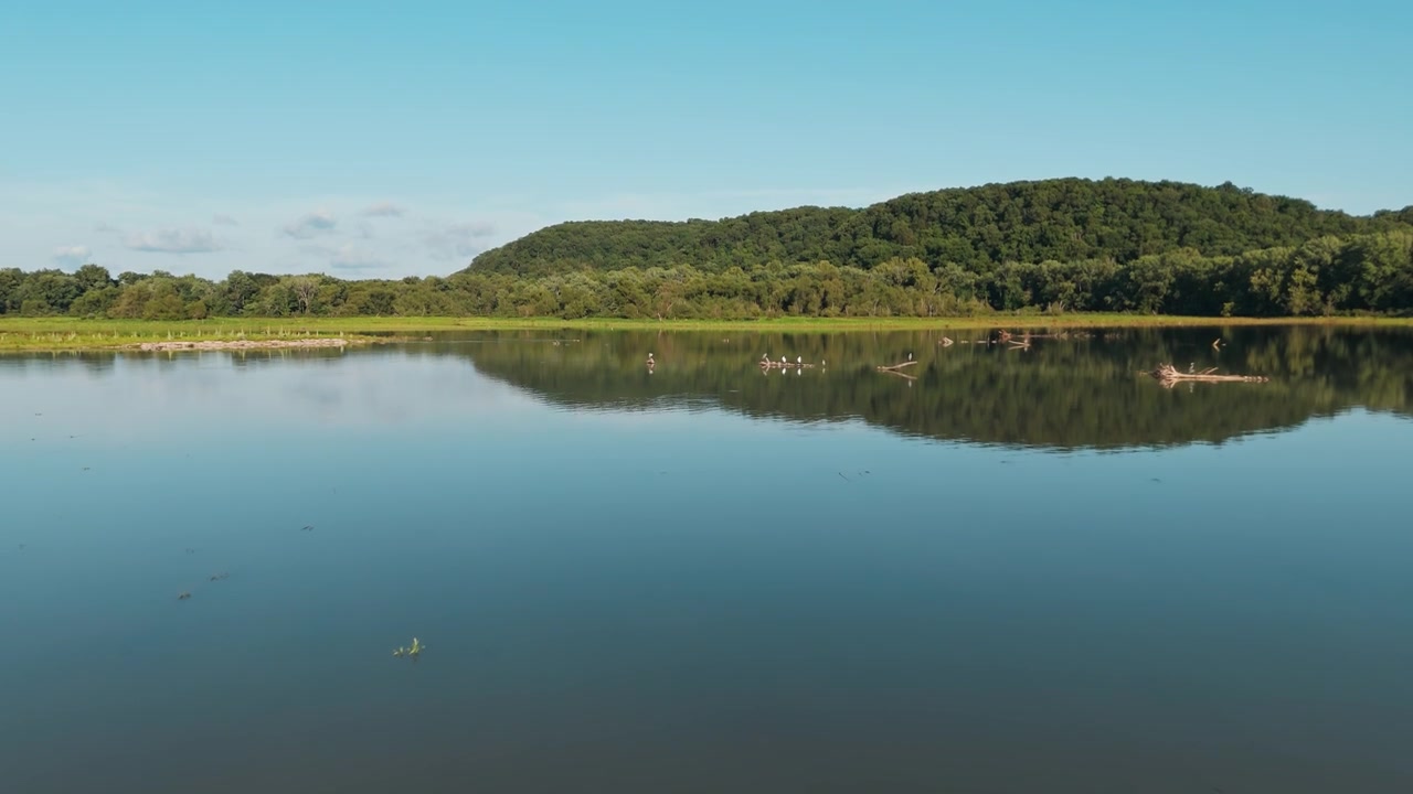 Muddy and silt filled grass wetlands of Lake Eucha with soft natural light bouncing off water illuminating forested shoreline, approach to great blue herons on log