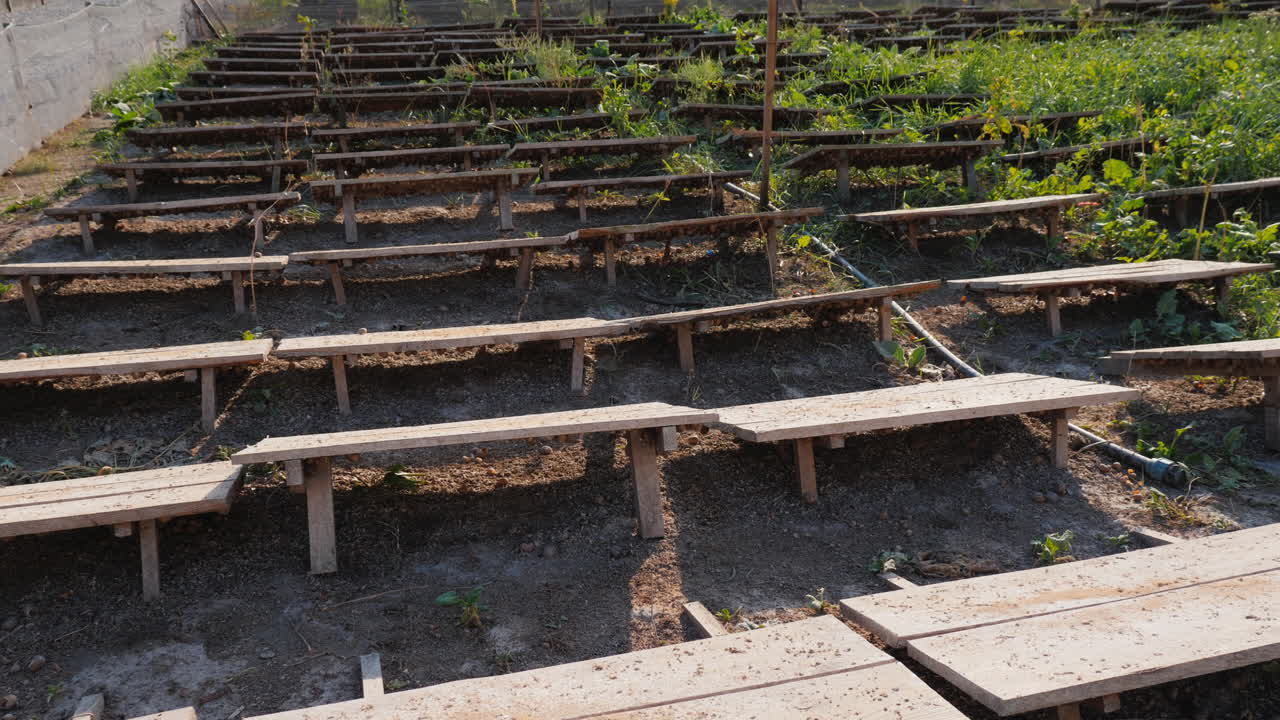 달팽이는 태양으로부터 보호하는 보드에서 자랍니다 1