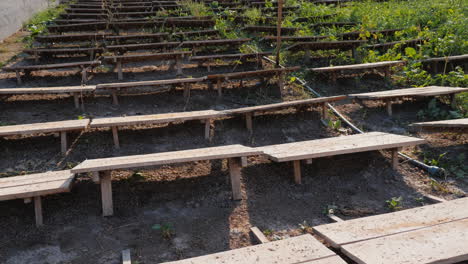 Snails-are-grown-on-boards-that-protect-them-from-the-sun-1