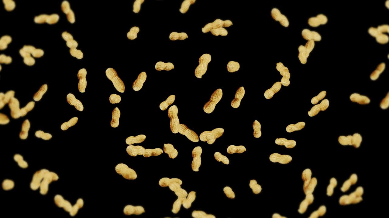 volando muchos cacahuetes en fondo negro. cacahuetes crudos. cacahuete en conchas. alimentos orgánicos saludables. animación de bucle 3d de la rotación de semillas.