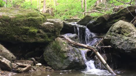 [slo-mo] small waterfall in wild river in beautiful forest of trees with green leaves | splash
