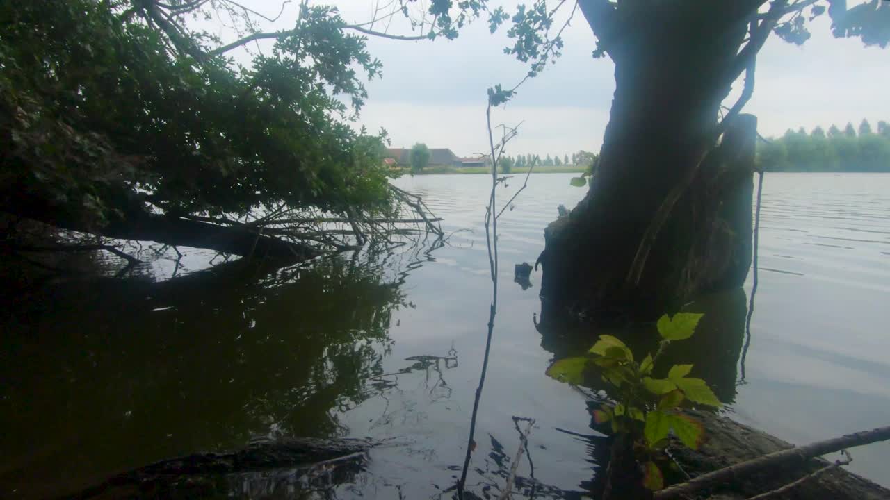 zwaakse weel, 's-gravenpolder, zeeland, netherlands의 평화로운 물의 slowmo 4k 영상