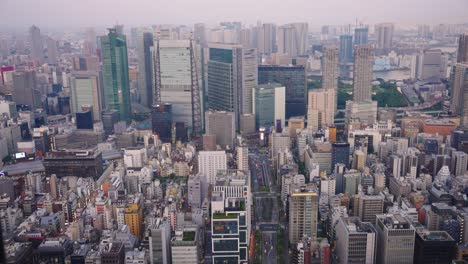 tokyo japan at sunset, tilt reveal of city in wealthy minato ward