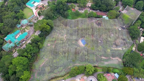 空中無人機向kl鳥類公園射擊