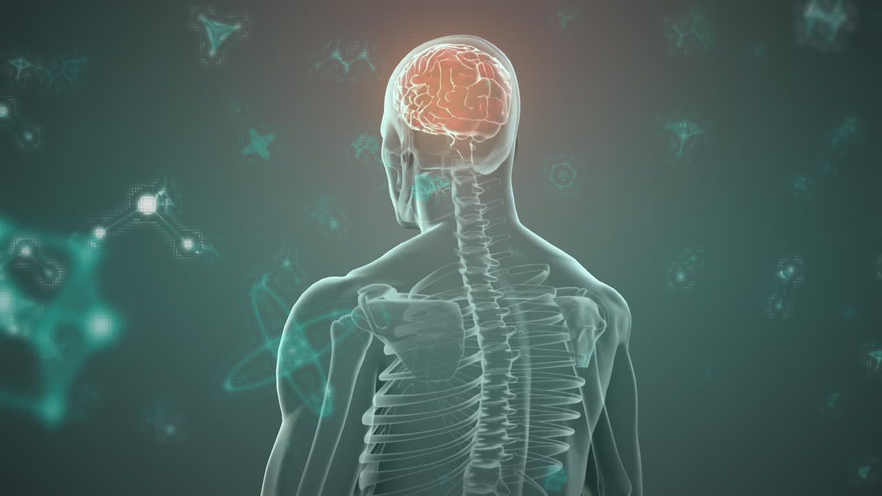 animación de estructuras moleculares flotando sobre el modelo del cuerpo humano contra un fondo verde