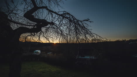 A-small-zoom-in-movement-where-you-can-see-a-crooked-tree-in-the-sunrise,-a-early-morning-timelapse