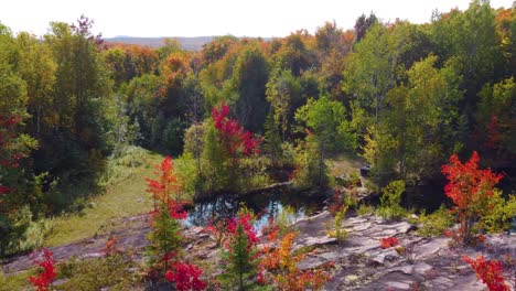 Drone-view-entering-the-garden-shows-colorful-trees-in-autumn