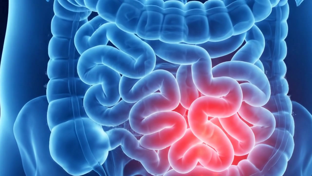 Scansione medica dettagliata del torso umano