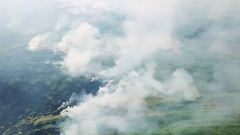 incendio en el parque romano. prado verde quemado emitiendo humo. tomada de ángulo alto