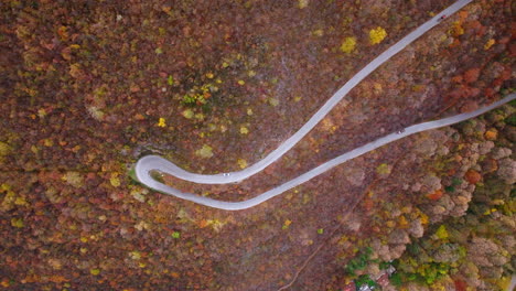 aerial view of a winding road through an autumn forest