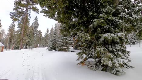 driving through fresh snow in utv, with snow-covered trees and cabins