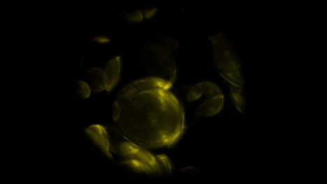 microscopio de química en bucle amarillo