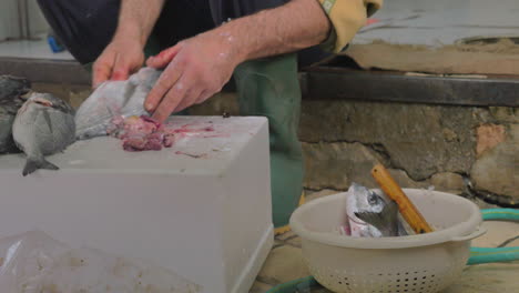 fisherman cleaning fish in the street for following sale