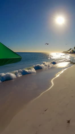 beautiful beach scene with gulls