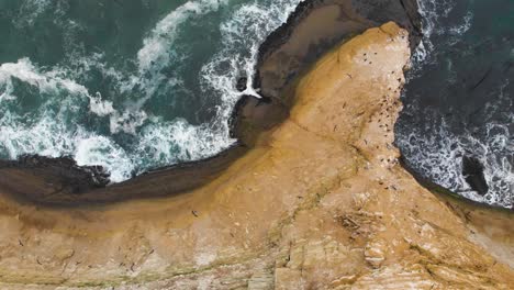 Aerial-shot-of-birds-swarming-around-their-nesting-place-at-a-cliff-on-the-ocean-coastline