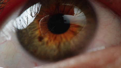 close-up of a human eye