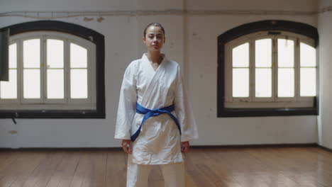 무술가 펀칭과 옆으로 돌리기의 정면도