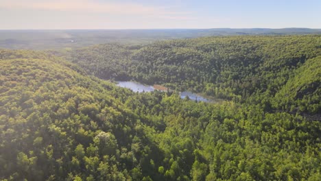 aerial view of a national forest in minnesota during summer time, aerial view