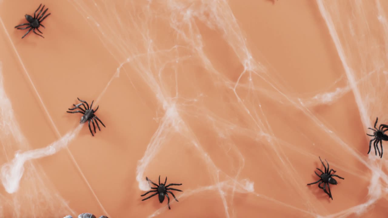 Video of halloween spiders and spider's web and copy space on orange background