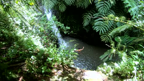 4k-Slow-motion-shot-of-a-man-jumping-off-a-high-cliff-into-the-water-at-MaunaWili-Falls-on-Oahu,-Hawaii