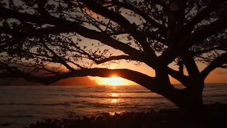 Hanalei-Bay-Kauai-Hawaii-Al-Atardecer-A-Través-De-Los-árboles