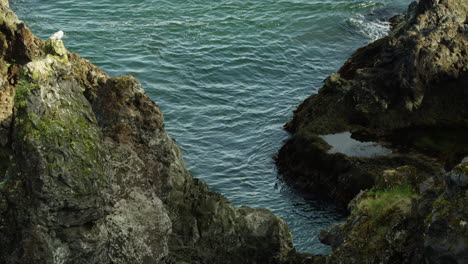 Coastline-in-Snaefellsnes-Peninsula,-Iceland,-high-angle-medium-shot