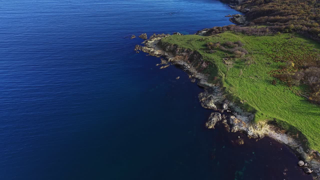 Coastline viewed from above with lush greenery and calm water