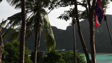 A-close-up-shot-made-behind-the-palm-trees