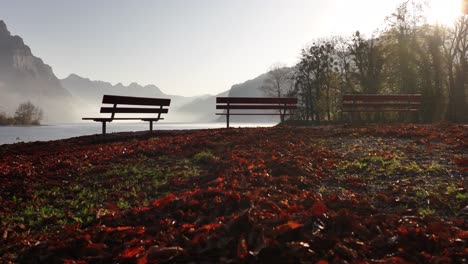 autumn leaves and empty benches overlooking misty walensee with mountain backdrop