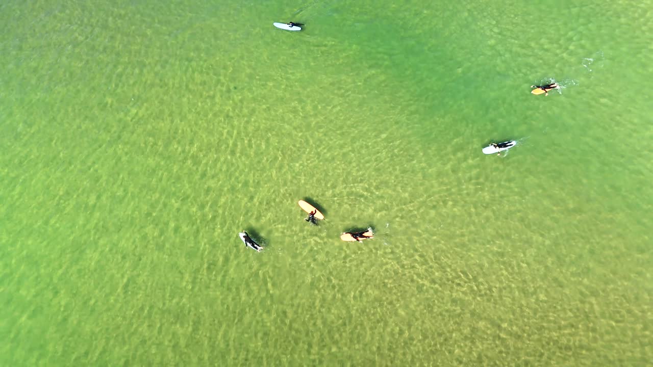 Aerial view of surfers in the ocean