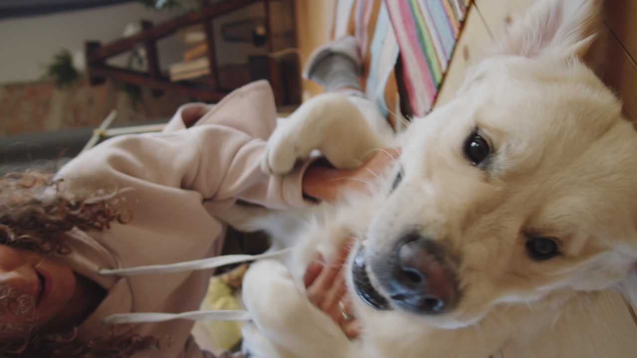 그녀의 강아지와 함께 노는 여자
