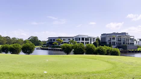 lush greenery and waterfront homes in gold coast