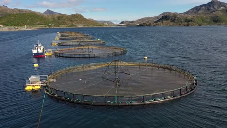 aerial footage farm salmon fishing in norway