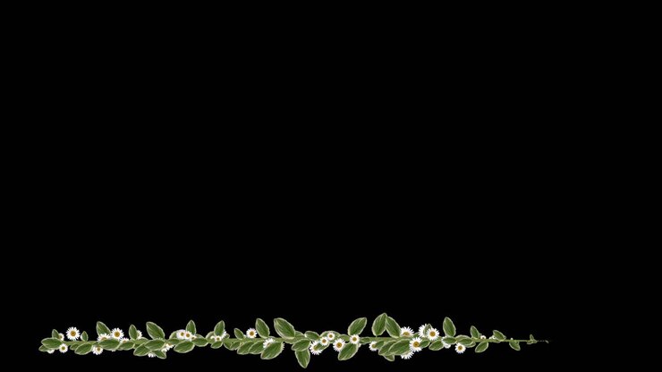 Visual effects, VFX, frame with growing white flowers and leaves on black background 3D animation