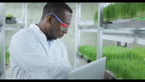 scientist working on a laptop in a vertical farming facility