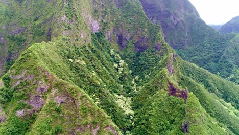 pull back aerial of lush green rainforest