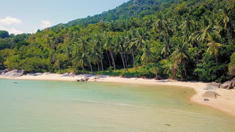 Tropischer-Sandstrand-Mit-Palmen-Bei-Sonnenuntergang,-Sonnenaufgang,-Luftwagen,-Der-Durch-Die-Stämme-Fliegt,-Wilder,-Unberührter-Strand-In-Hawaii