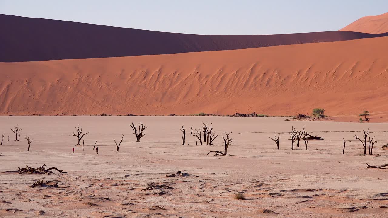 los turistas caminan cerca de los árboles muertos silueteados al amanecer en deadvlei y sossusvlei en el parque nacional de namib naukluft desierto de namib namibia 4