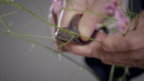 slow motion shot of person using tool recovering green plant