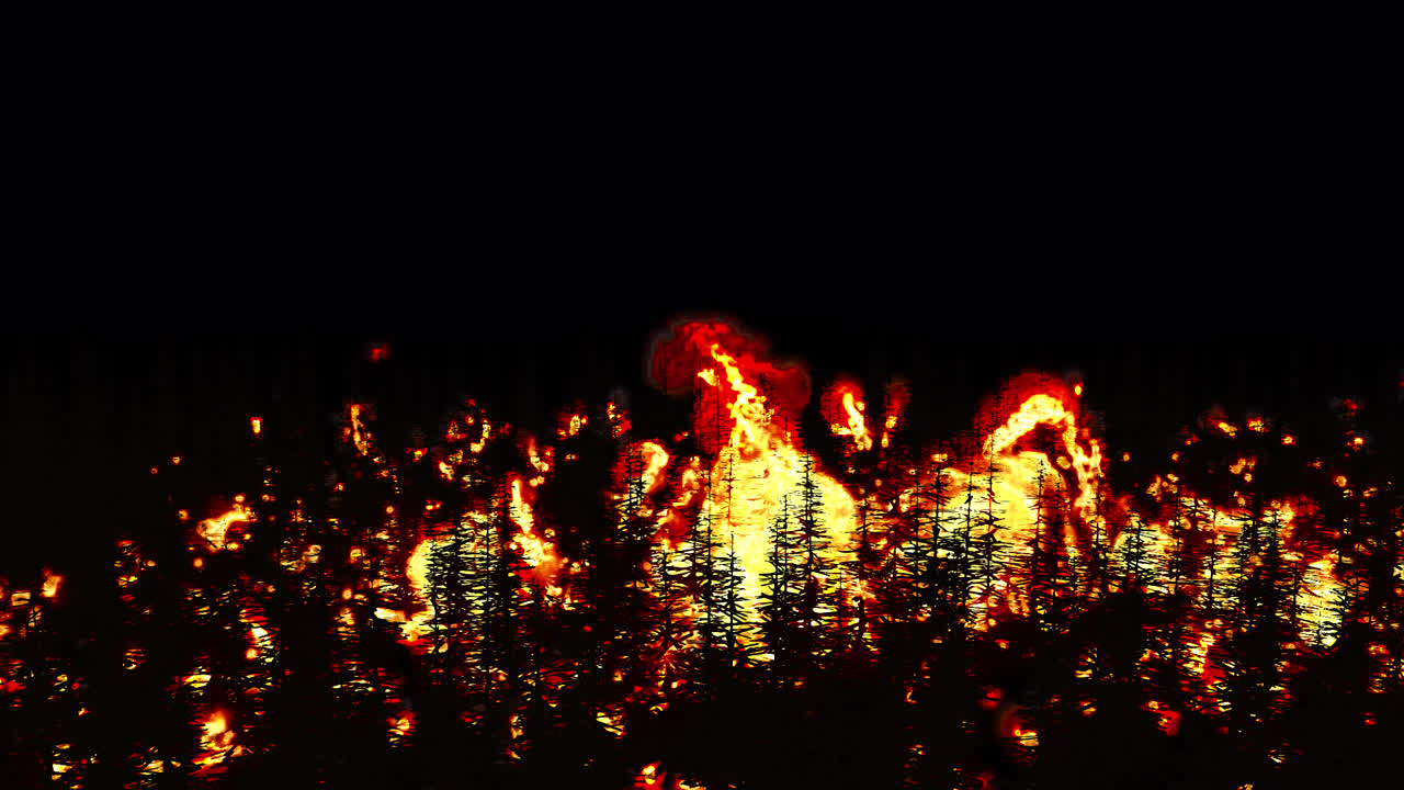 Burning forest with camera move on transparent background