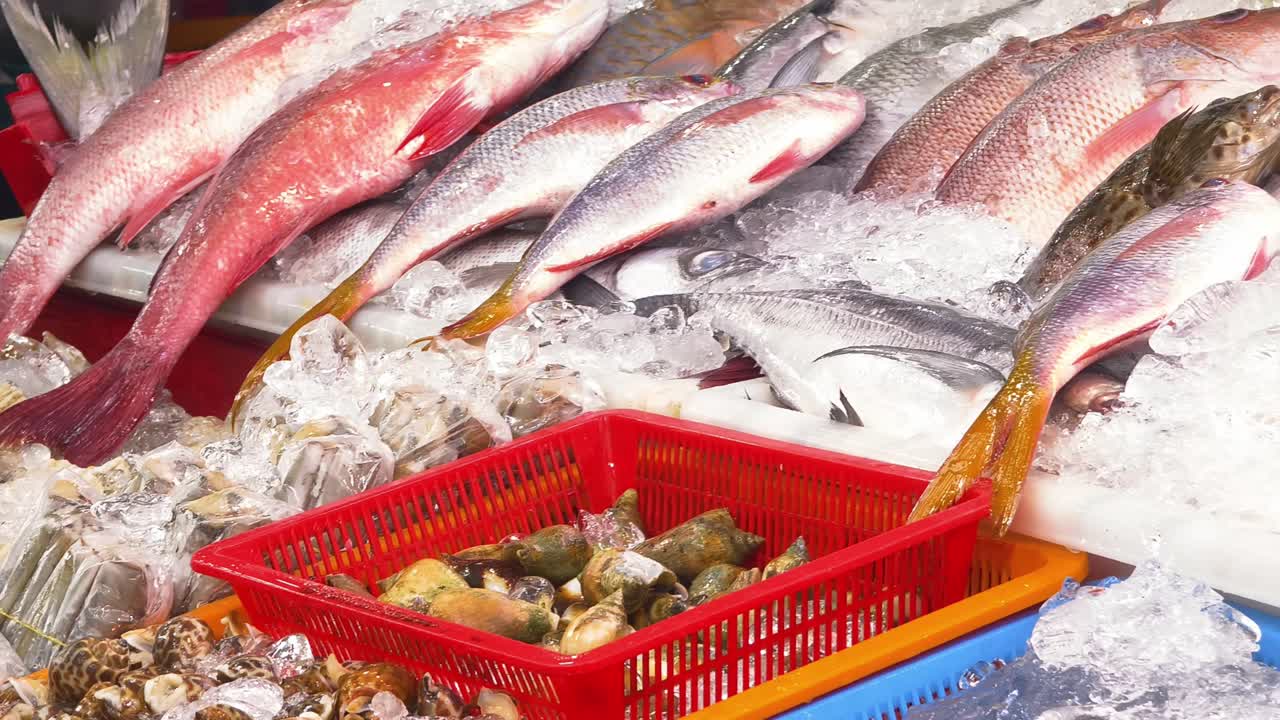 시장 에서 신선 한 해산물 전시