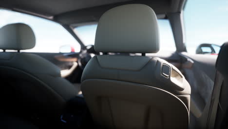 luxury car backseat interior