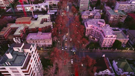 disparo aéreo sobre la avenida pedro de valdivia al atardecer con árboles de otoño